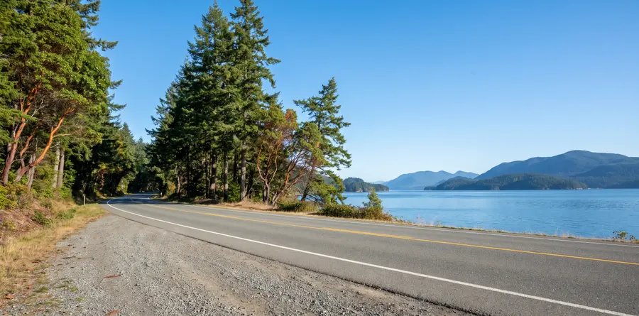 Generated scene: a two-lane coastal highway between fir trees and a calm strait with island mountains; not a specific road.